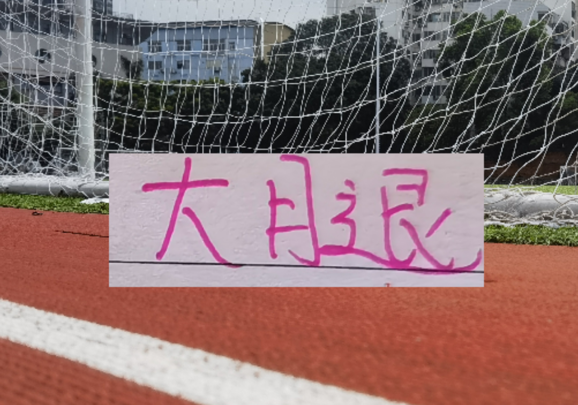 b体育-海港也是少有一个赛季引进2个非洲外援 安佩姆会是丐版巴尔加斯吗